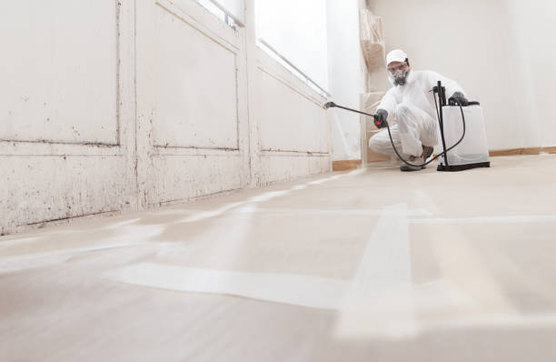 24/7 Emergency Crawl Space Mold Removal experts in West Milford, NJ